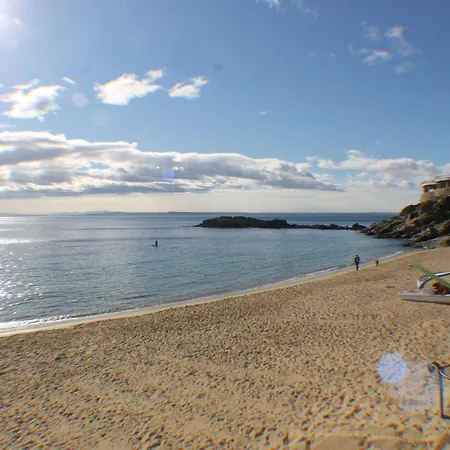 Agi Gaviota * Ρόζες